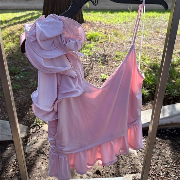 Express Pink Ruffle Crop Top - Picture 5 of 5